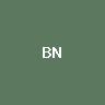 CEA Industries (bStocks Tokeni