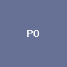 Polymesh